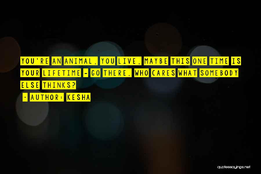 Kesha Quotes: You're An Animal, You Live, Maybe This One Time Is Your Lifetime - Go There. Who Cares What Somebody Else