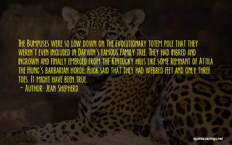 Jean Shepherd Quotes: The Bumpuses Were So Low Down On The Evolutionary Totem Pole That They Weren't Even Included In Darwin's Famous Family