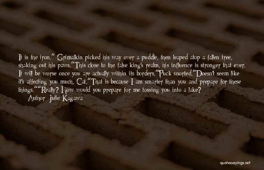 Julie Kagawa Quotes: It Is The Iron. Grimalkin Picked His Way Over A Puddle, Then Leaped Atop A Fallen Tree, Shaking Out His