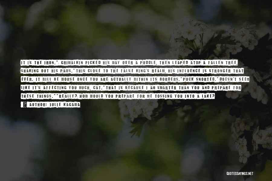 Julie Kagawa Quotes: It Is The Iron. Grimalkin Picked His Way Over A Puddle, Then Leaped Atop A Fallen Tree, Shaking Out His