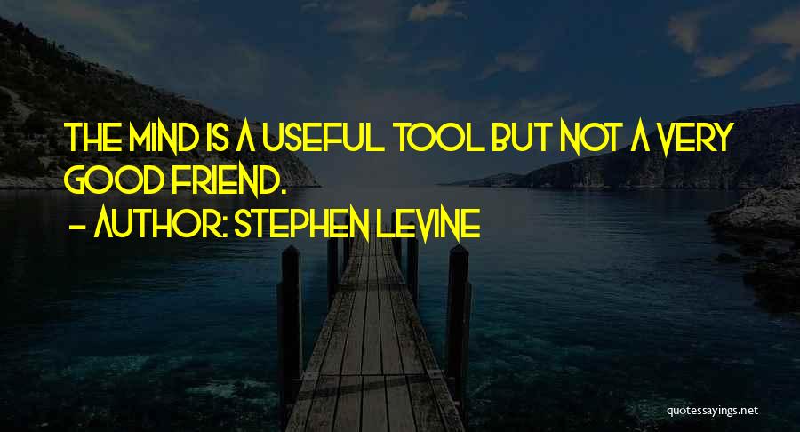 Stephen Levine Quotes: The Mind Is A Useful Tool But Not A Very Good Friend.