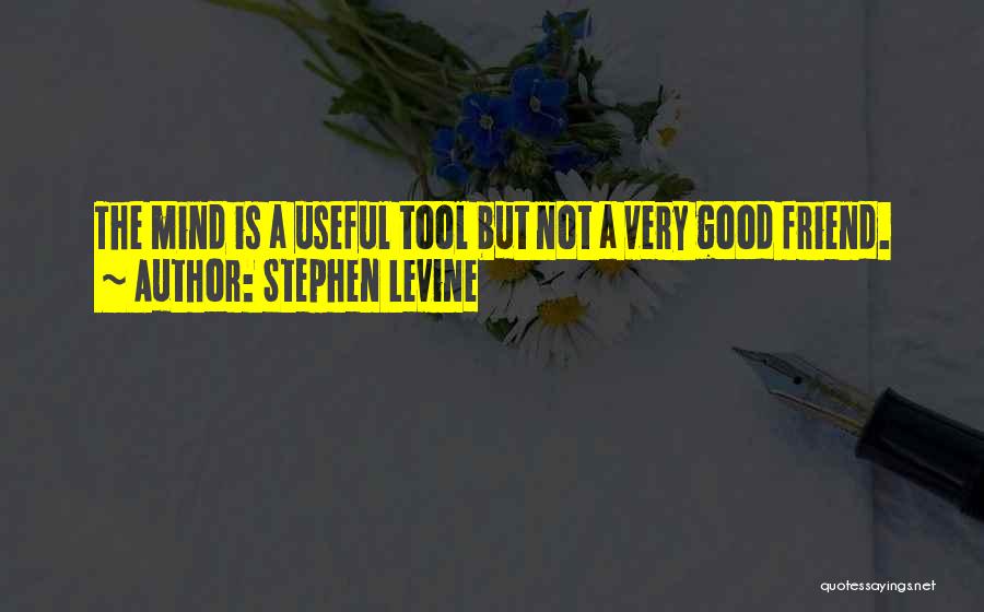 Stephen Levine Quotes: The Mind Is A Useful Tool But Not A Very Good Friend.