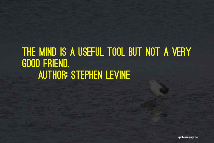 Stephen Levine Quotes: The Mind Is A Useful Tool But Not A Very Good Friend.