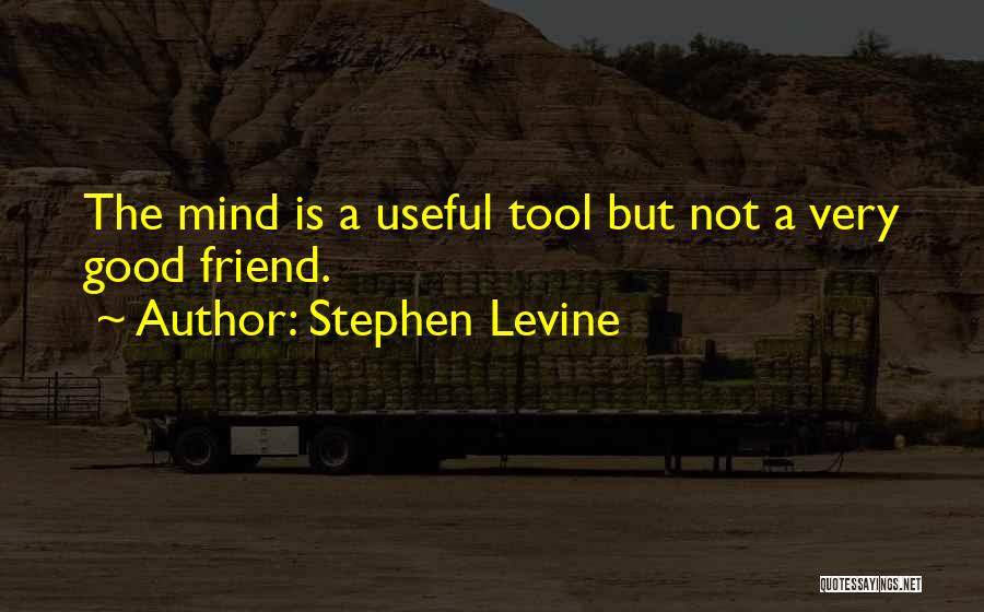 Stephen Levine Quotes: The Mind Is A Useful Tool But Not A Very Good Friend.