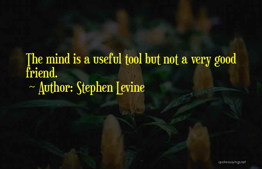 Stephen Levine Quotes: The Mind Is A Useful Tool But Not A Very Good Friend.