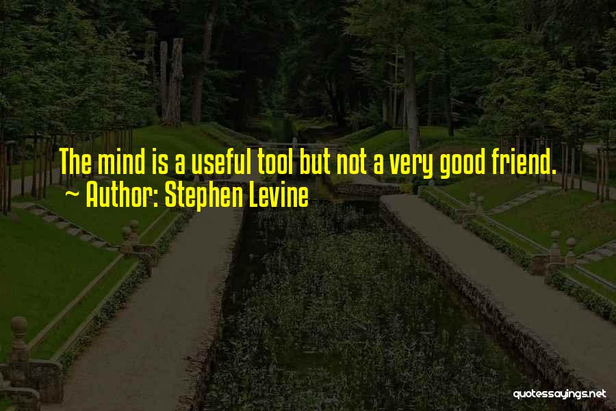 Stephen Levine Quotes: The Mind Is A Useful Tool But Not A Very Good Friend.