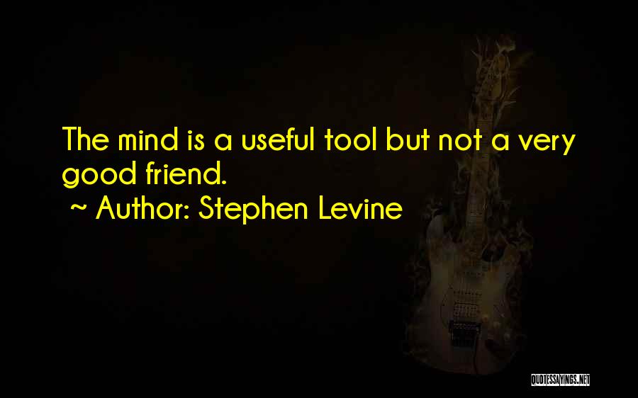 Stephen Levine Quotes: The Mind Is A Useful Tool But Not A Very Good Friend.