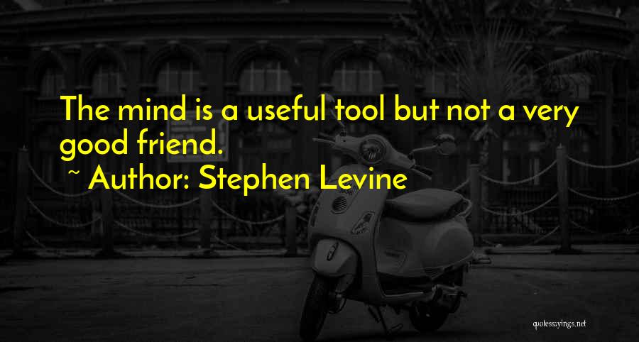 Stephen Levine Quotes: The Mind Is A Useful Tool But Not A Very Good Friend.