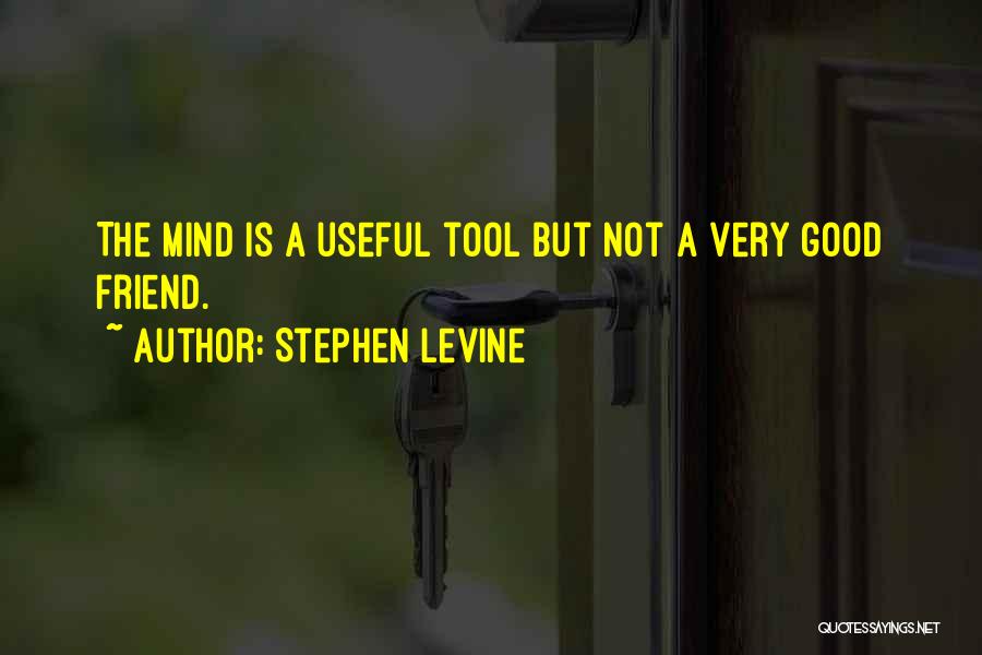 Stephen Levine Quotes: The Mind Is A Useful Tool But Not A Very Good Friend.