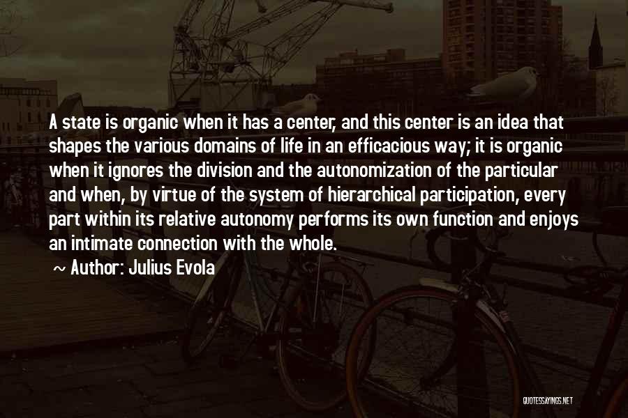 Julius Evola Quotes: A State Is Organic When It Has A Center, And This Center Is An Idea That Shapes The Various Domains