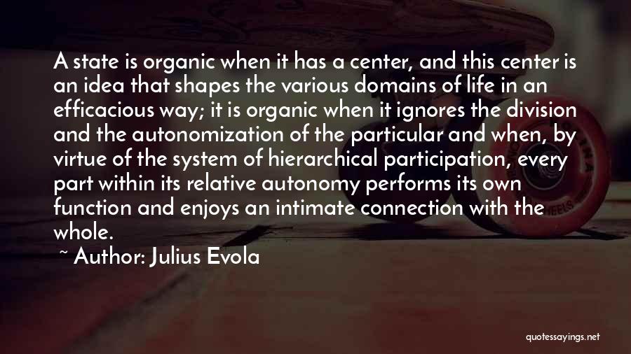 Julius Evola Quotes: A State Is Organic When It Has A Center, And This Center Is An Idea That Shapes The Various Domains