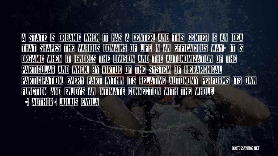 Julius Evola Quotes: A State Is Organic When It Has A Center, And This Center Is An Idea That Shapes The Various Domains