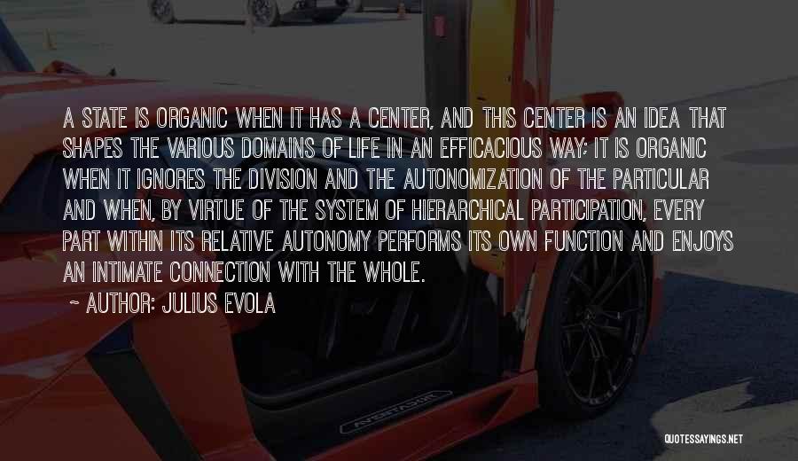 Julius Evola Quotes: A State Is Organic When It Has A Center, And This Center Is An Idea That Shapes The Various Domains