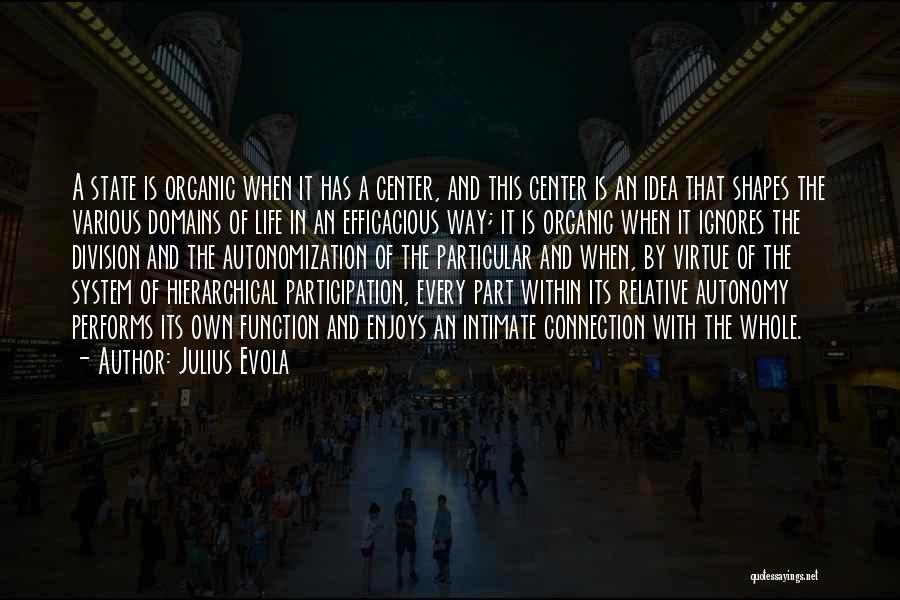 Julius Evola Quotes: A State Is Organic When It Has A Center, And This Center Is An Idea That Shapes The Various Domains