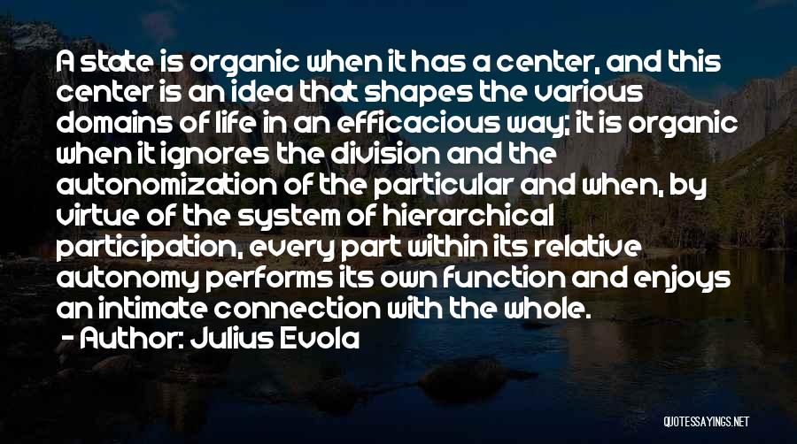 Julius Evola Quotes: A State Is Organic When It Has A Center, And This Center Is An Idea That Shapes The Various Domains