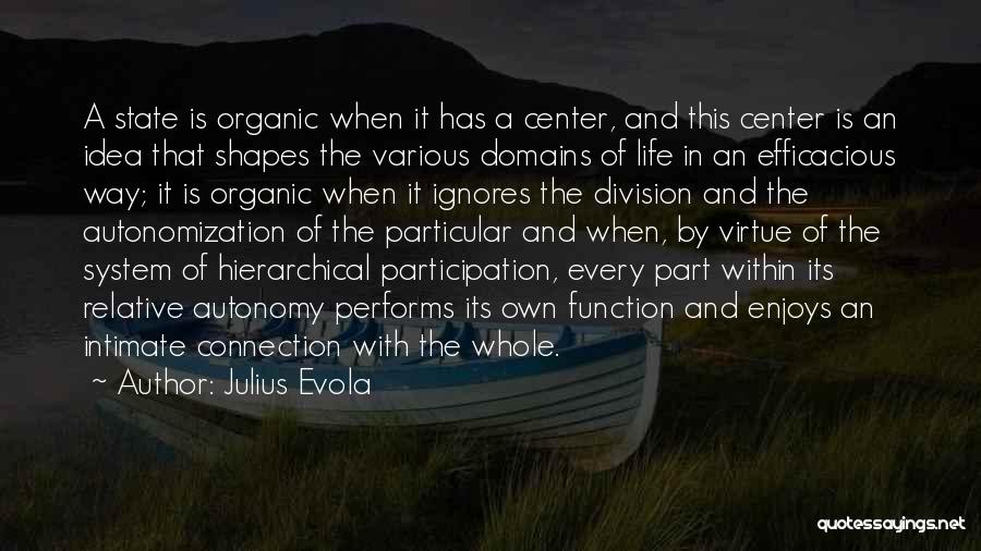 Julius Evola Quotes: A State Is Organic When It Has A Center, And This Center Is An Idea That Shapes The Various Domains