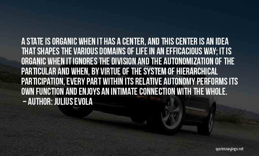 Julius Evola Quotes: A State Is Organic When It Has A Center, And This Center Is An Idea That Shapes The Various Domains