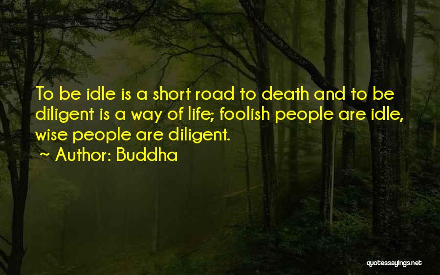 Buddha Quotes: To Be Idle Is A Short Road To Death And To Be Diligent Is A Way Of Life; Foolish People