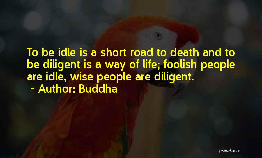 Buddha Quotes: To Be Idle Is A Short Road To Death And To Be Diligent Is A Way Of Life; Foolish People