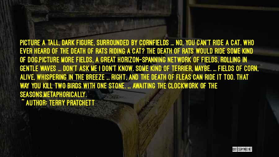 Terry Pratchett Quotes: Picture A Tall, Dark Figure, Surrounded By Cornfields ... No, You Can't Ride A Cat. Who Ever Heard Of The