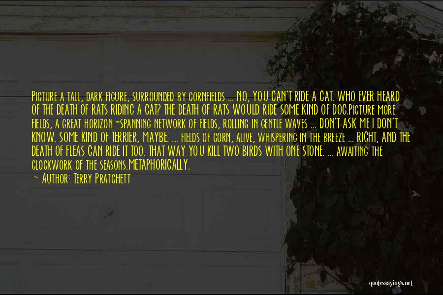 Terry Pratchett Quotes: Picture A Tall, Dark Figure, Surrounded By Cornfields ... No, You Can't Ride A Cat. Who Ever Heard Of The