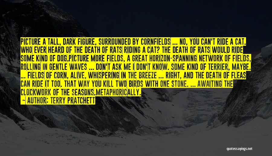 Terry Pratchett Quotes: Picture A Tall, Dark Figure, Surrounded By Cornfields ... No, You Can't Ride A Cat. Who Ever Heard Of The