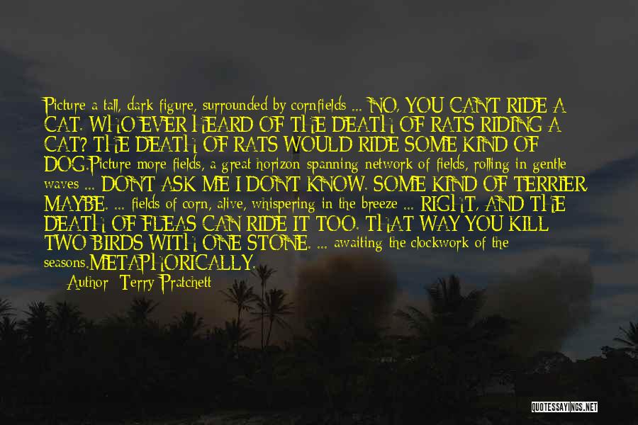 Terry Pratchett Quotes: Picture A Tall, Dark Figure, Surrounded By Cornfields ... No, You Can't Ride A Cat. Who Ever Heard Of The