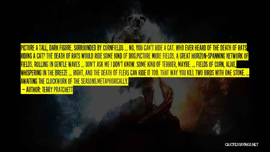 Terry Pratchett Quotes: Picture A Tall, Dark Figure, Surrounded By Cornfields ... No, You Can't Ride A Cat. Who Ever Heard Of The