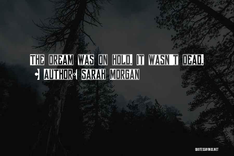 Sarah Morgan Quotes: The Dream Was On Hold. It Wasn't Dead.