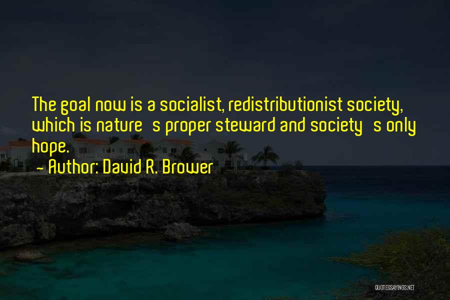 David R. Brower Quotes: The Goal Now Is A Socialist, Redistributionist Society, Which Is Nature's Proper Steward And Society's Only Hope.