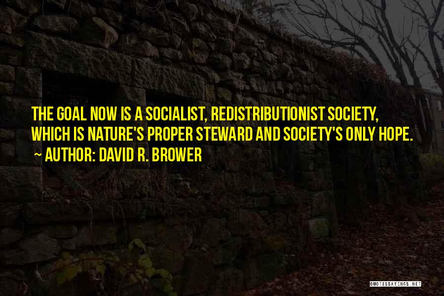 David R. Brower Quotes: The Goal Now Is A Socialist, Redistributionist Society, Which Is Nature's Proper Steward And Society's Only Hope.