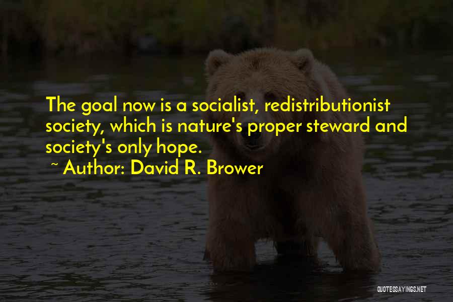 David R. Brower Quotes: The Goal Now Is A Socialist, Redistributionist Society, Which Is Nature's Proper Steward And Society's Only Hope.