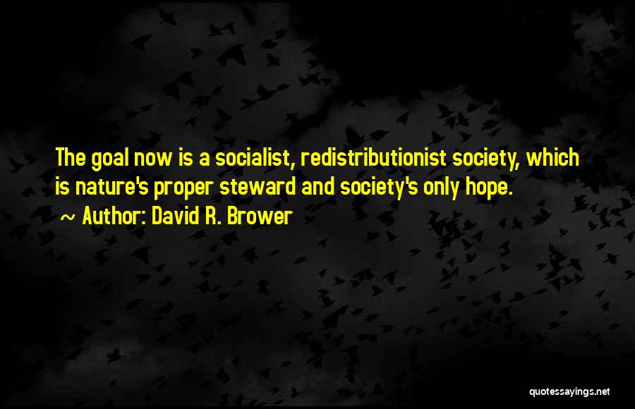 David R. Brower Quotes: The Goal Now Is A Socialist, Redistributionist Society, Which Is Nature's Proper Steward And Society's Only Hope.
