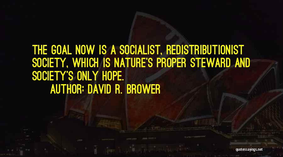 David R. Brower Quotes: The Goal Now Is A Socialist, Redistributionist Society, Which Is Nature's Proper Steward And Society's Only Hope.