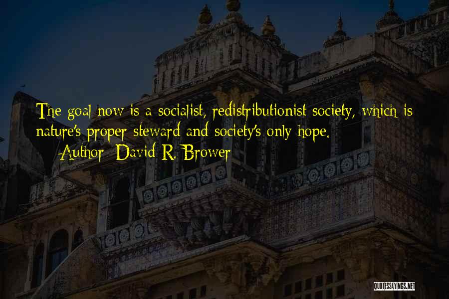 David R. Brower Quotes: The Goal Now Is A Socialist, Redistributionist Society, Which Is Nature's Proper Steward And Society's Only Hope.