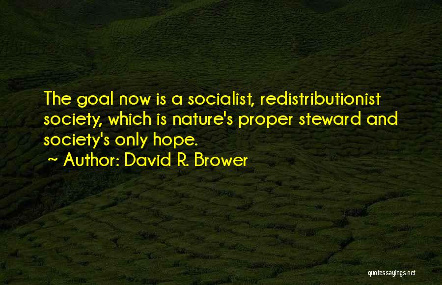 David R. Brower Quotes: The Goal Now Is A Socialist, Redistributionist Society, Which Is Nature's Proper Steward And Society's Only Hope.