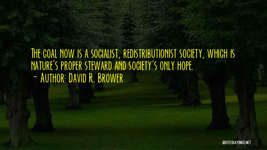 David R. Brower Quotes: The Goal Now Is A Socialist, Redistributionist Society, Which Is Nature's Proper Steward And Society's Only Hope.
