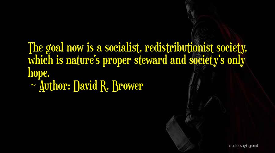 David R. Brower Quotes: The Goal Now Is A Socialist, Redistributionist Society, Which Is Nature's Proper Steward And Society's Only Hope.