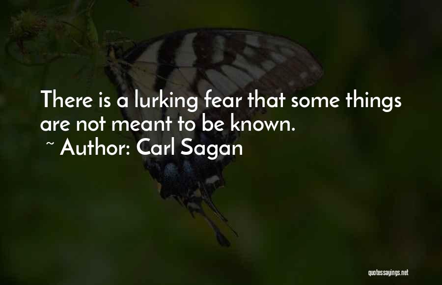 Carl Sagan Quotes: There Is A Lurking Fear That Some Things Are Not Meant To Be Known.