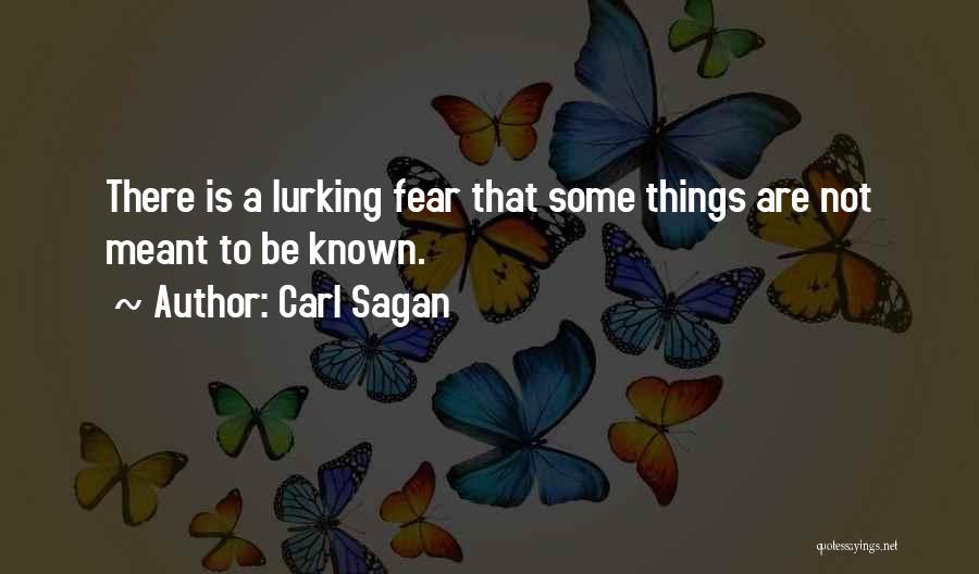 Carl Sagan Quotes: There Is A Lurking Fear That Some Things Are Not Meant To Be Known.