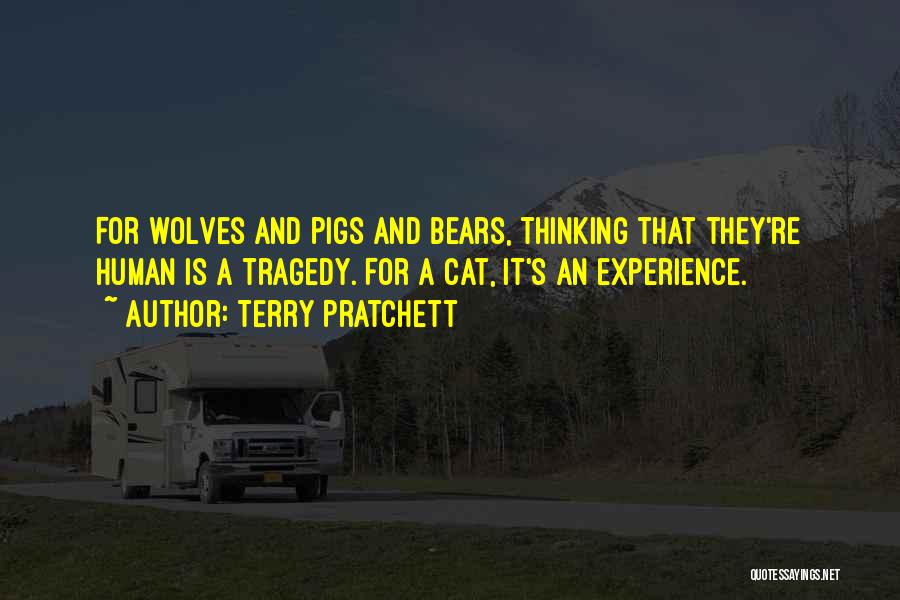 Terry Pratchett Quotes: For Wolves And Pigs And Bears, Thinking That They're Human Is A Tragedy. For A Cat, It's An Experience.