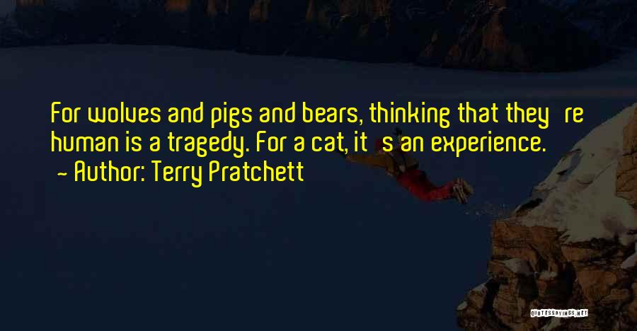 Terry Pratchett Quotes: For Wolves And Pigs And Bears, Thinking That They're Human Is A Tragedy. For A Cat, It's An Experience.