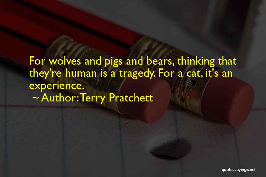 Terry Pratchett Quotes: For Wolves And Pigs And Bears, Thinking That They're Human Is A Tragedy. For A Cat, It's An Experience.