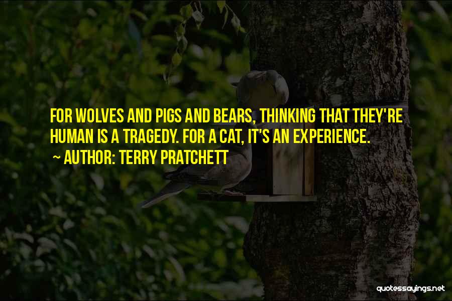 Terry Pratchett Quotes: For Wolves And Pigs And Bears, Thinking That They're Human Is A Tragedy. For A Cat, It's An Experience.