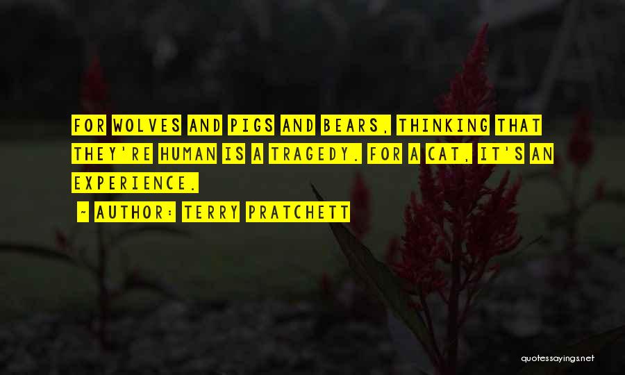 Terry Pratchett Quotes: For Wolves And Pigs And Bears, Thinking That They're Human Is A Tragedy. For A Cat, It's An Experience.