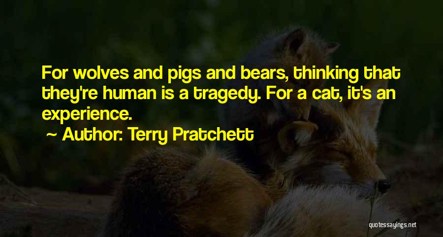 Terry Pratchett Quotes: For Wolves And Pigs And Bears, Thinking That They're Human Is A Tragedy. For A Cat, It's An Experience.