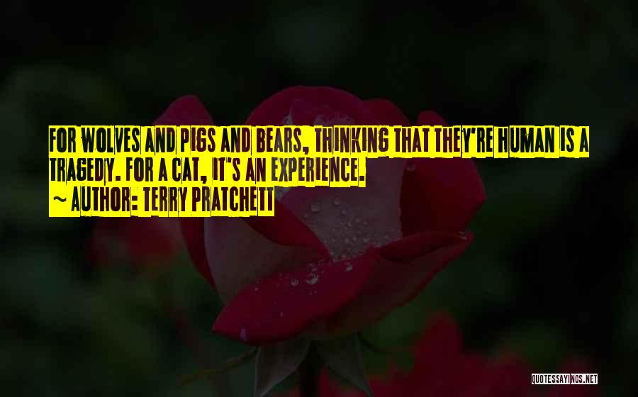 Terry Pratchett Quotes: For Wolves And Pigs And Bears, Thinking That They're Human Is A Tragedy. For A Cat, It's An Experience.