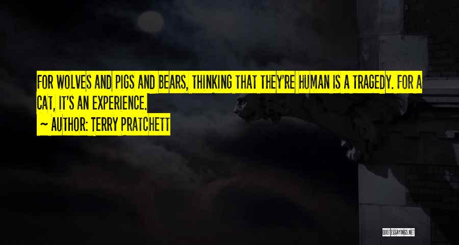 Terry Pratchett Quotes: For Wolves And Pigs And Bears, Thinking That They're Human Is A Tragedy. For A Cat, It's An Experience.