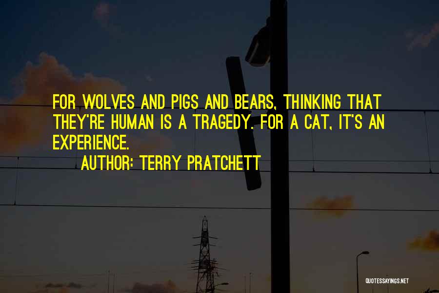 Terry Pratchett Quotes: For Wolves And Pigs And Bears, Thinking That They're Human Is A Tragedy. For A Cat, It's An Experience.