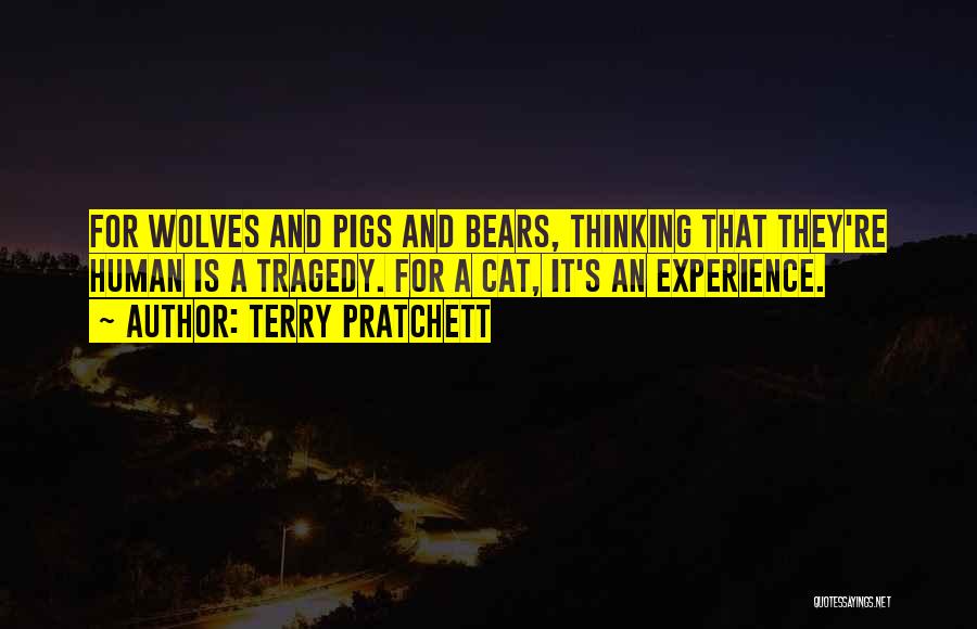 Terry Pratchett Quotes: For Wolves And Pigs And Bears, Thinking That They're Human Is A Tragedy. For A Cat, It's An Experience.